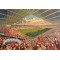 Langtree Park Stadium Fine Art Print - St Helens Rugby League